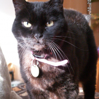 Photo #73351 de Orpha