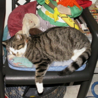 Photo #73363 de Maxou