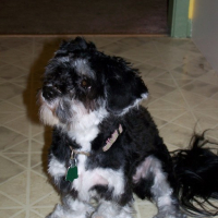 Photo #73411 de Maya