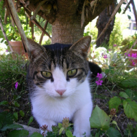 Photo #73489 de Yumba 
