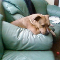 Photo #73525 de Kiara