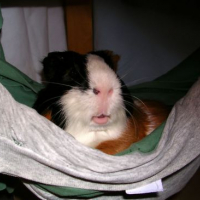 Photo #73591 de Caramel