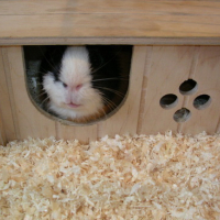 Photo #73597 de Caramel