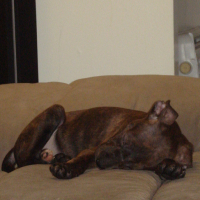 Photo #73831 de Tim
