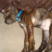 Photo #73867 de Tim