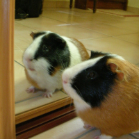 Photo #73879 de Caramel