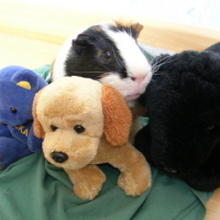 Photo #73885 de Caramel