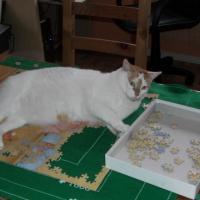 Photo #74389 de Chipie