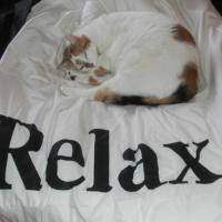 Photo #74401 de Chipie