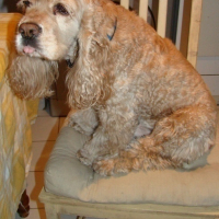 Photo #74659 de Twister
