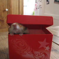 Photo #75763 de Maya