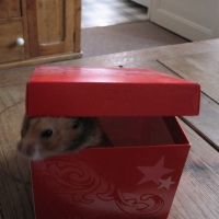 Photo #75775 de Maya