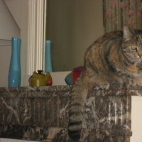Photo #75895 de Filou