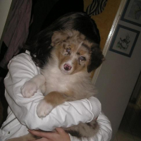 Photo #76057 de Amy