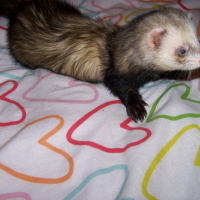 Photo #76225 de Winnie