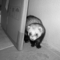 Photo #76231 de Winnie