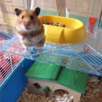 Photo #76243 de Maya
