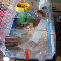 Photo #76249 de Maya