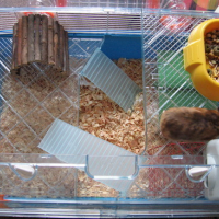 Photo #76255 de Maya