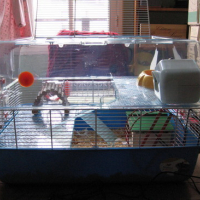 Photo #76261 de Maya