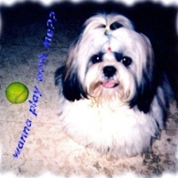 Photo #76777 de Zenzy