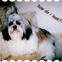 Photo #76783 de Zenzy