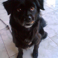 Photo #77011 de Lala