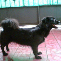 Photo #77017 de Lala