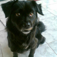 Photo #77035 de Lala