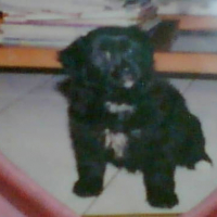 Photo #77041 de Lala
