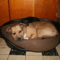 Photo #77053 de Kiara