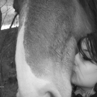 Photo #77155 de Shaitan