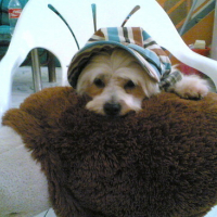 Photo #77239 de Lezzy