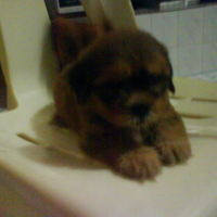 Photo #77251 de Lezzy