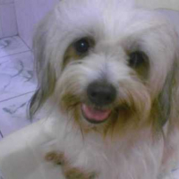 Photo #77263 de Lezzy