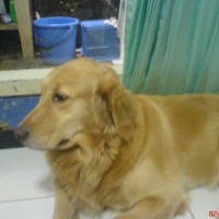 DSC00061