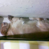 nciz_best_spot