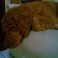 Photo #77557 de Cleo