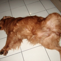 Photo #77563 de Cleo
