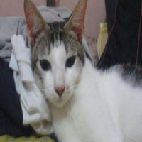 Photo #77959 de Slump