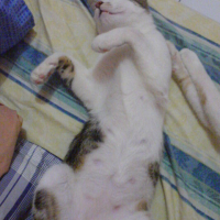 Photo #78001 de Slump