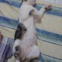 Photo #78013 de Slump