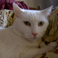 Photo #78565 de Casper