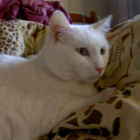 Photo #78571 de Casper
