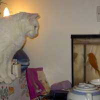 Photo #78583 de Casper