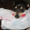 she wanted something that was in the bag. ;)