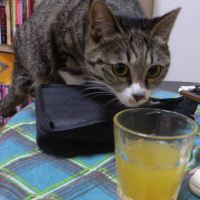 Photo #78901 de Jane