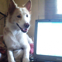 Photo #79375 de Charlie