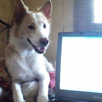 Charlie the new endorser of Dell