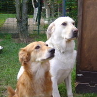 Photo #79567 de Kayla